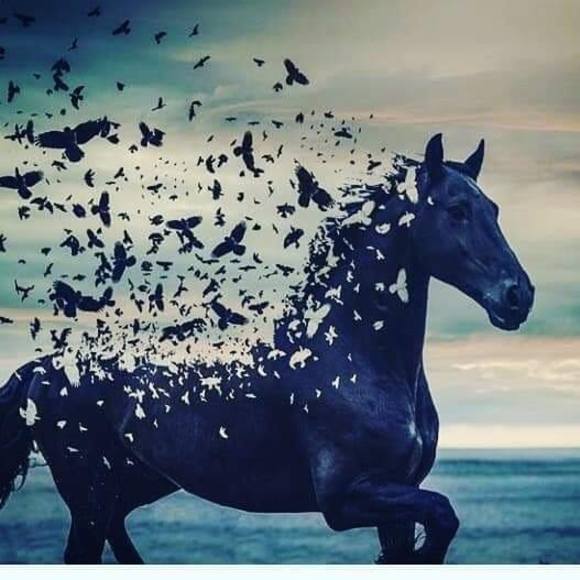 Meet your Posher, Raul - Picture 1 of 1